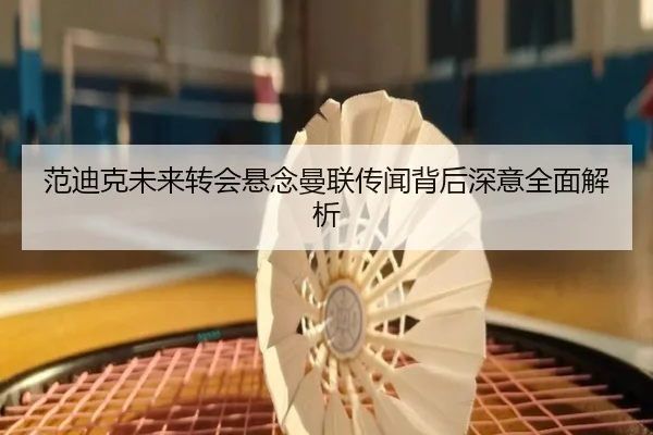 范迪克未来转会悬念曼联传闻背后深意全面解析