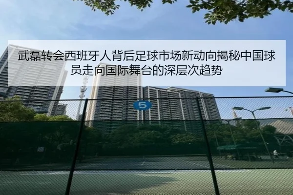 武磊转会西班牙人背后足球市场新动向揭秘中国球员走向国际舞台的深层次趋势